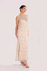 Athena Sequin Mesh Maxi Dress